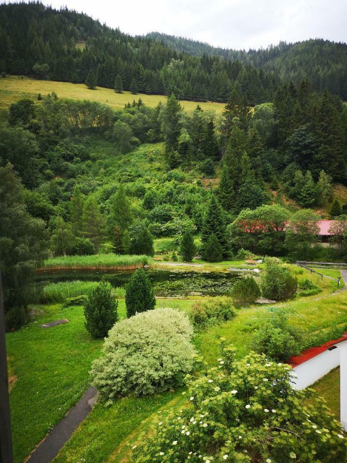 Grassegger Appartementhaus Sankt Johann am Tauern Kültér fotó