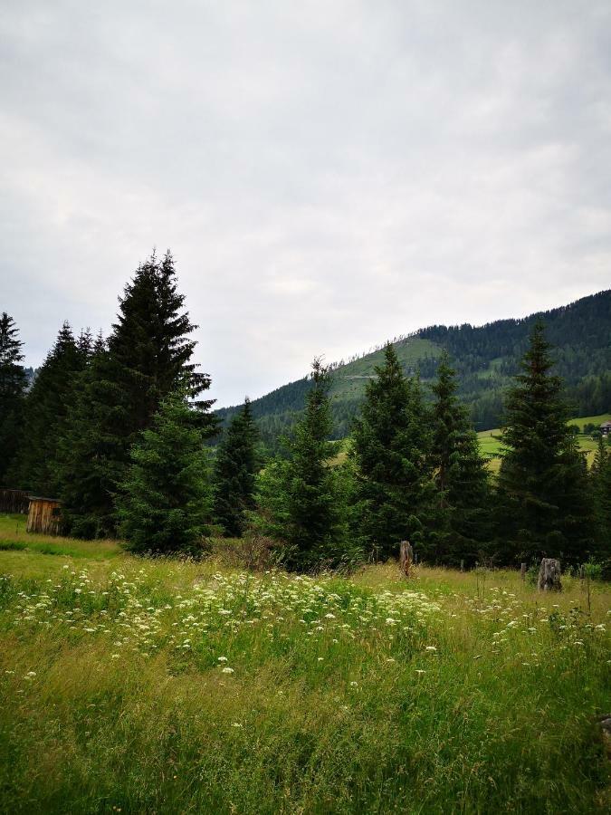 Grassegger Appartementhaus Sankt Johann am Tauern Kültér fotó